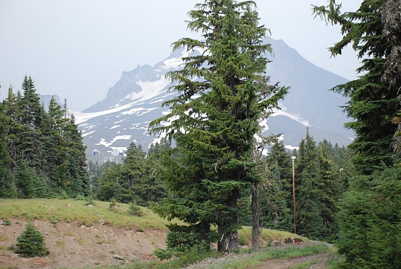 cabins off West Leg Rd-0686