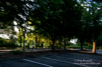 Vancouver Lake Park