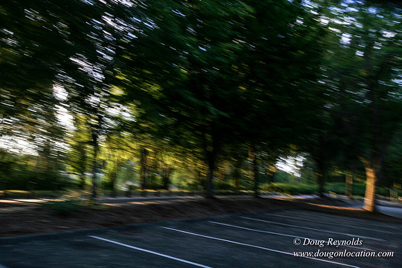 Vancouver Lake Park