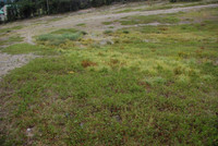 Summit Ski Area-0875