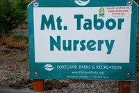 Mt Tabor Park nursery