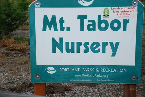 Mt Tabor Park nursery