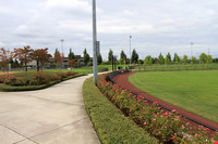 Hillsboro Baseball