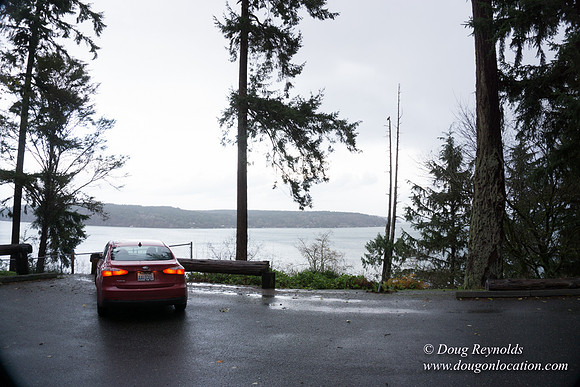 Vashon View