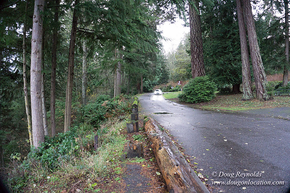 Vashon View