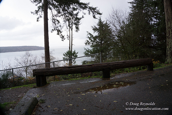 Vashon View