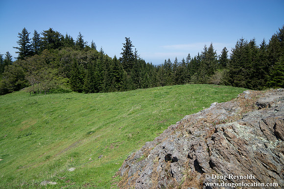 Ranch 26  Large Green Hill-