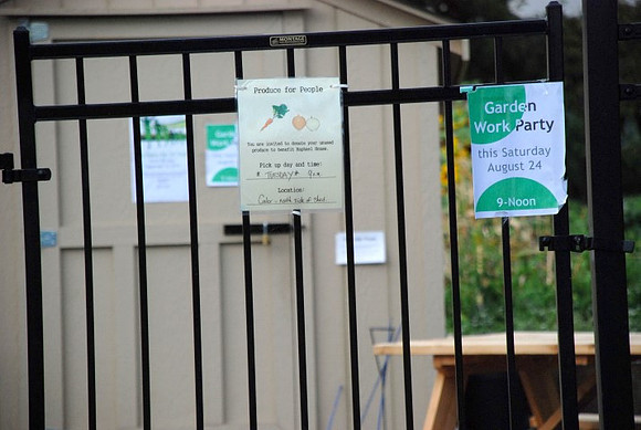 Mt Tabor Park community garden