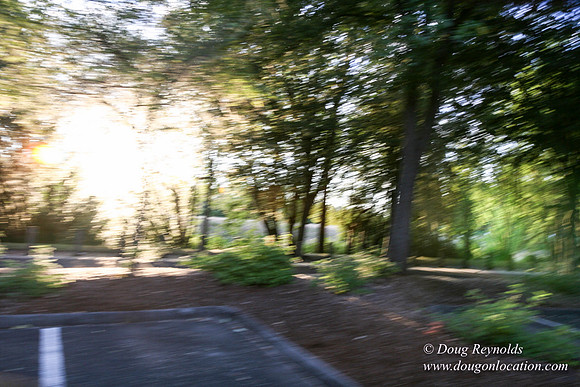 Vancouver Lake Park
