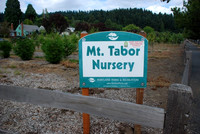 Mt Tabor Park nursery