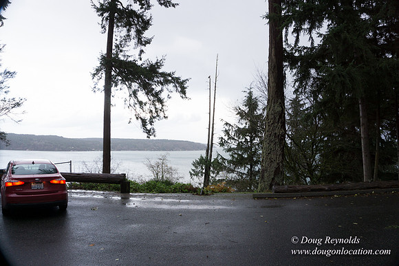 Vashon View