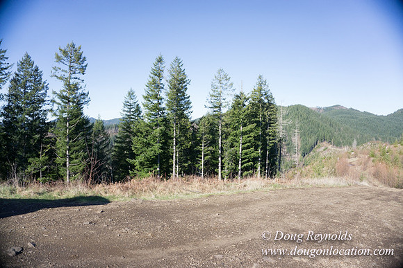 ODF DM View Trail
