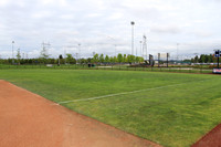 Hillsboro Baseball