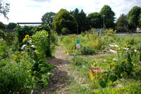 Summers Park Community Garden