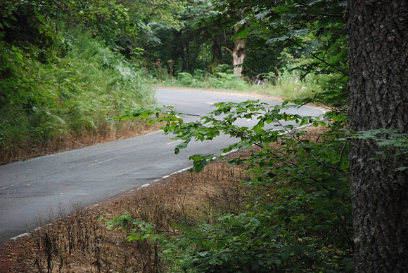 Haines Road-0940