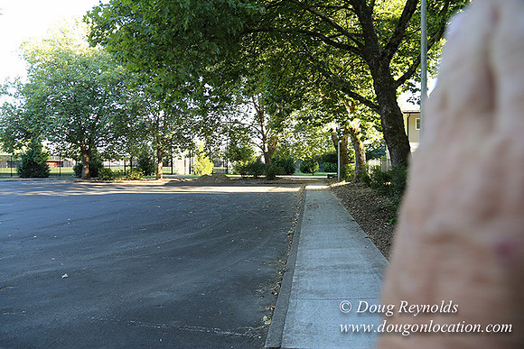 Lincoln Park-0673