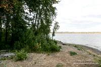 Vancouver Lake Park