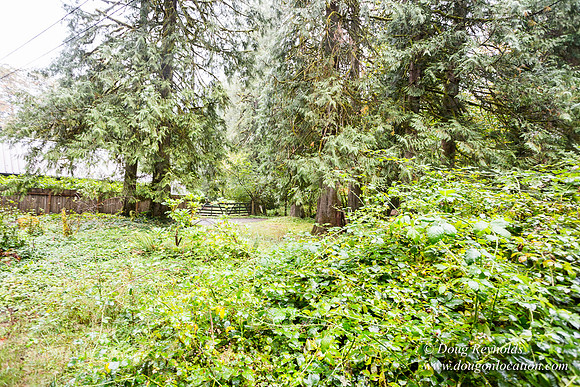 Collins Cabin