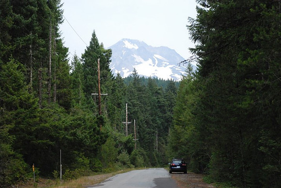 Road 39 near Mt. Hood-0890