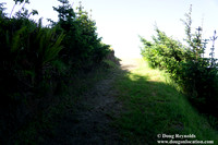 Ranch 26 Beach South Overlook