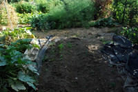 Kennedy community gardens
