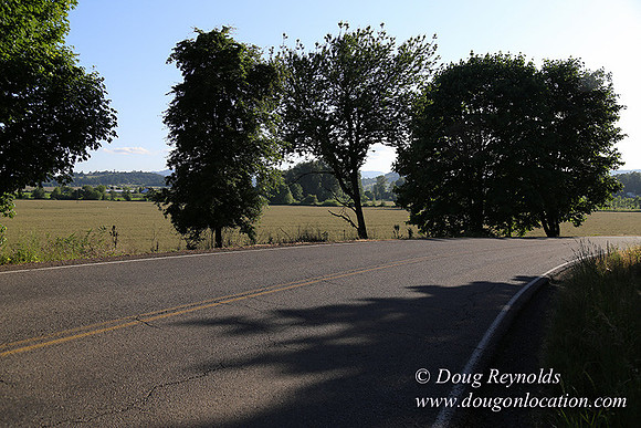 Moores Rd 2-7075