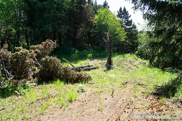 Ranch 26 North Overlook