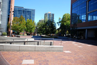 Portland State UPB-0413