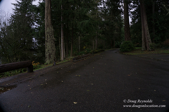 Vashon View