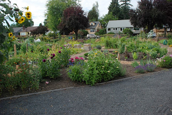 Mt Tabor Park community garden