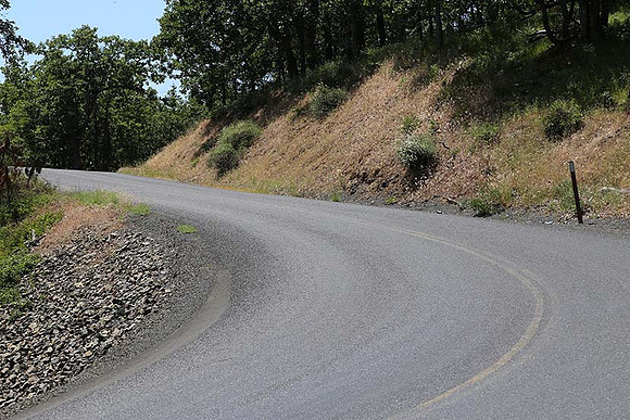 Canyon Rd 2-8005