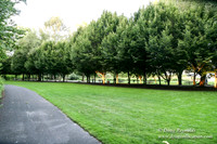 Vancouver Lake Park