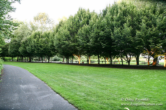 Vancouver Lake Park