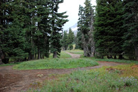 cabins off West Leg Rd-0680