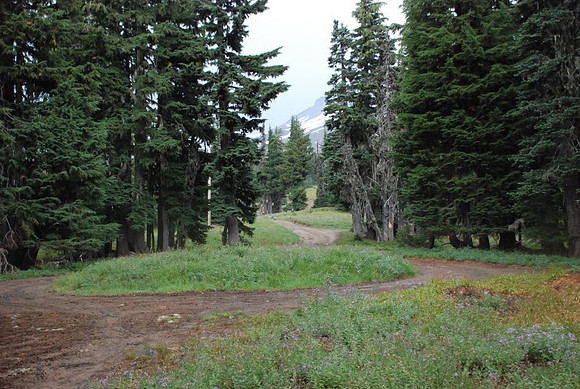 cabins off West Leg Rd-0680