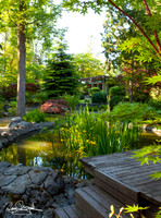 Mid Century Atomic Ranch Back Yard with Hot Tub, Patio, Small stream, and Pond with Deck well Maintained.  House photos on line soon.