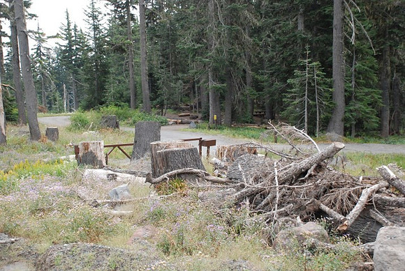 Timberline Road -0812