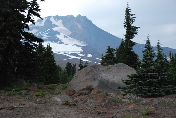 Off road at Timberline-0660