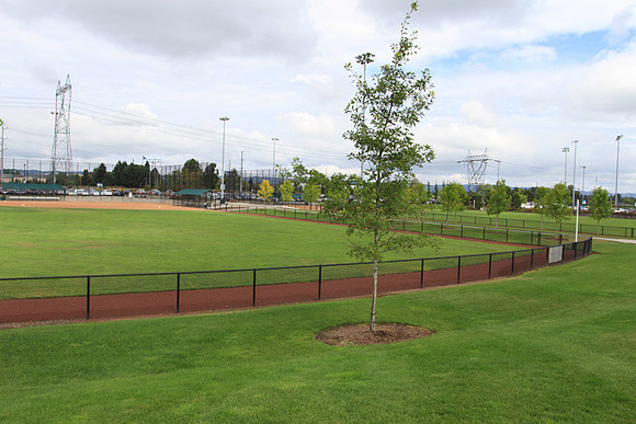 Hillsboro Baseball