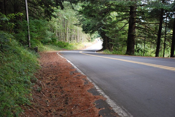Brower Road-0964