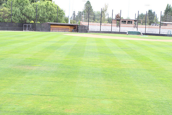 Forest Grove Baseball