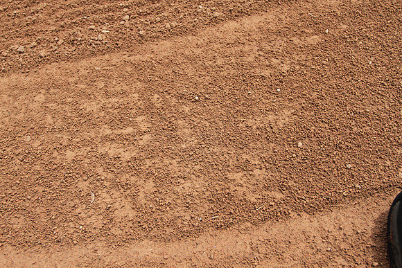 Hillsboro Baseball