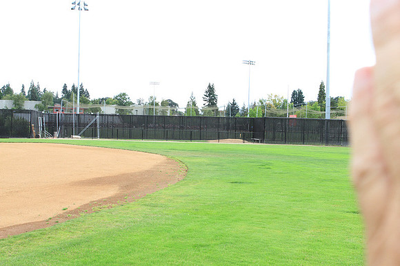 Forest Grove Baseball