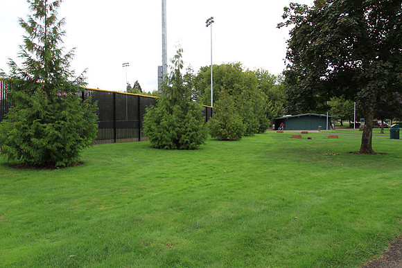Forest Grove Baseball