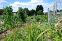 Summers Park Community Garden