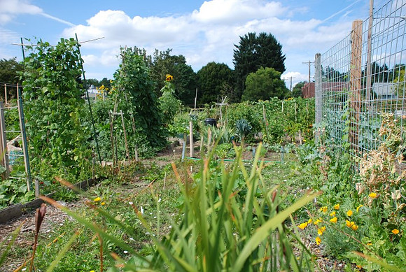 Summers Park Community Garden