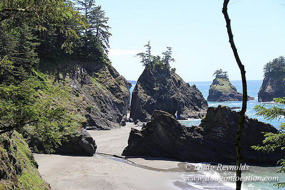 33 Beach SB81-2757