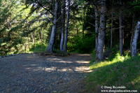 Ranch 26 Beach South Overlook