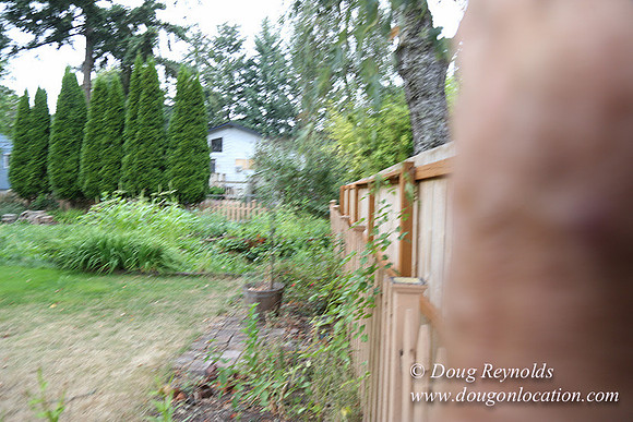 Jeramiah's Backyard-1672