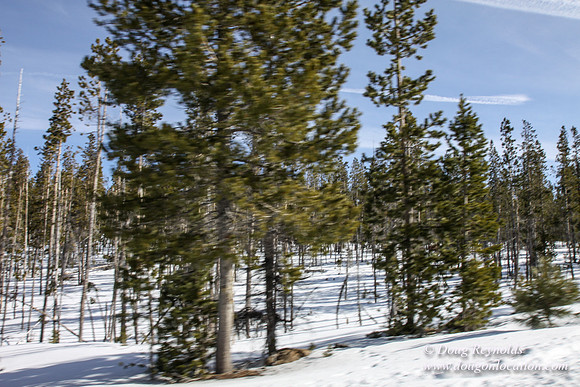 3 creeks Road in Snow